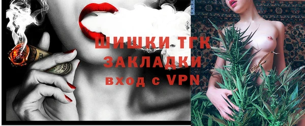тгк Горно-Алтайск