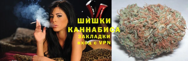 тгк Горно-Алтайск