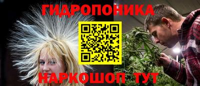 кокс Гусев
