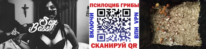 Галлюциногенные грибы MAGIC MUSHROOMS  как найти закладки  Можга 