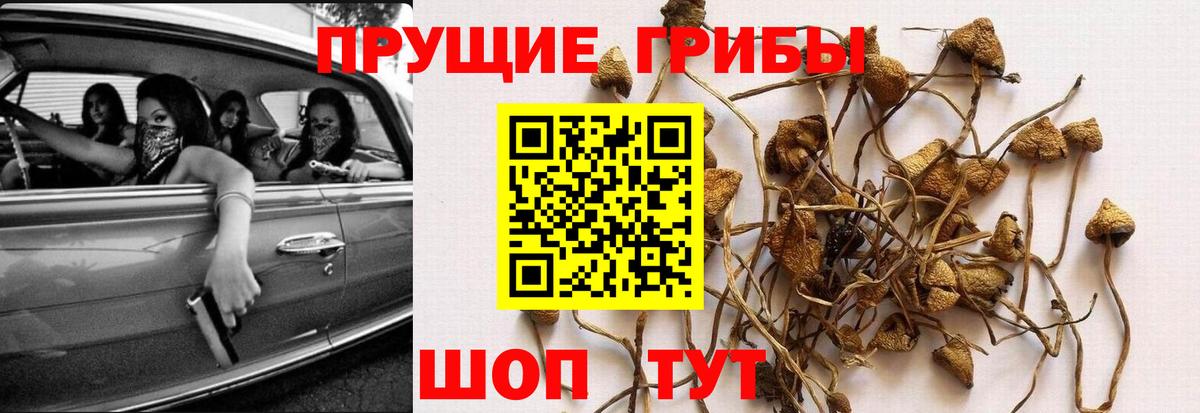 Псилоцибиновые грибы Magic Shrooms  Вход с VPN  Можга 