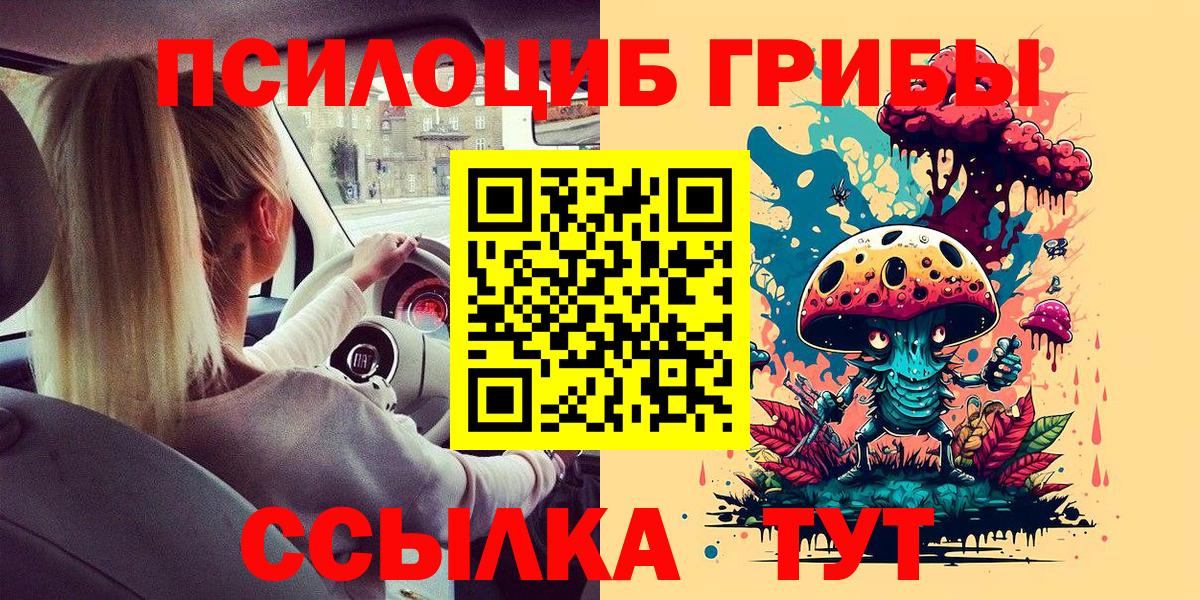 Псилоцибиновые грибы Magic Shrooms Можга